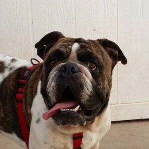 Meet your Posher, Kevin